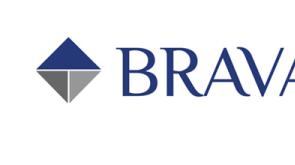 Diseño de logotipo y página web para Brava Invest
